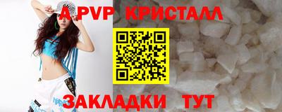 прущие крисы Кандалакша