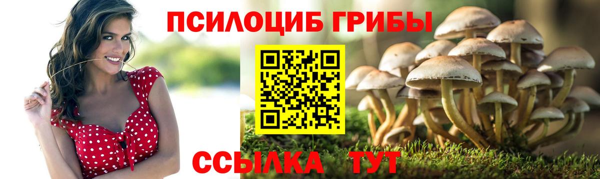 Псилоцибиновые грибы ЛСД  Вход с VPN  Псилоцибиновые грибы GOLDEN TEACHER  Лобня 